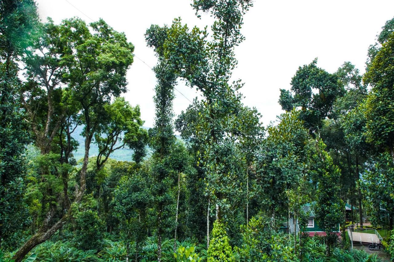 Tree Blanche Hotel Munnar Kültér fotó